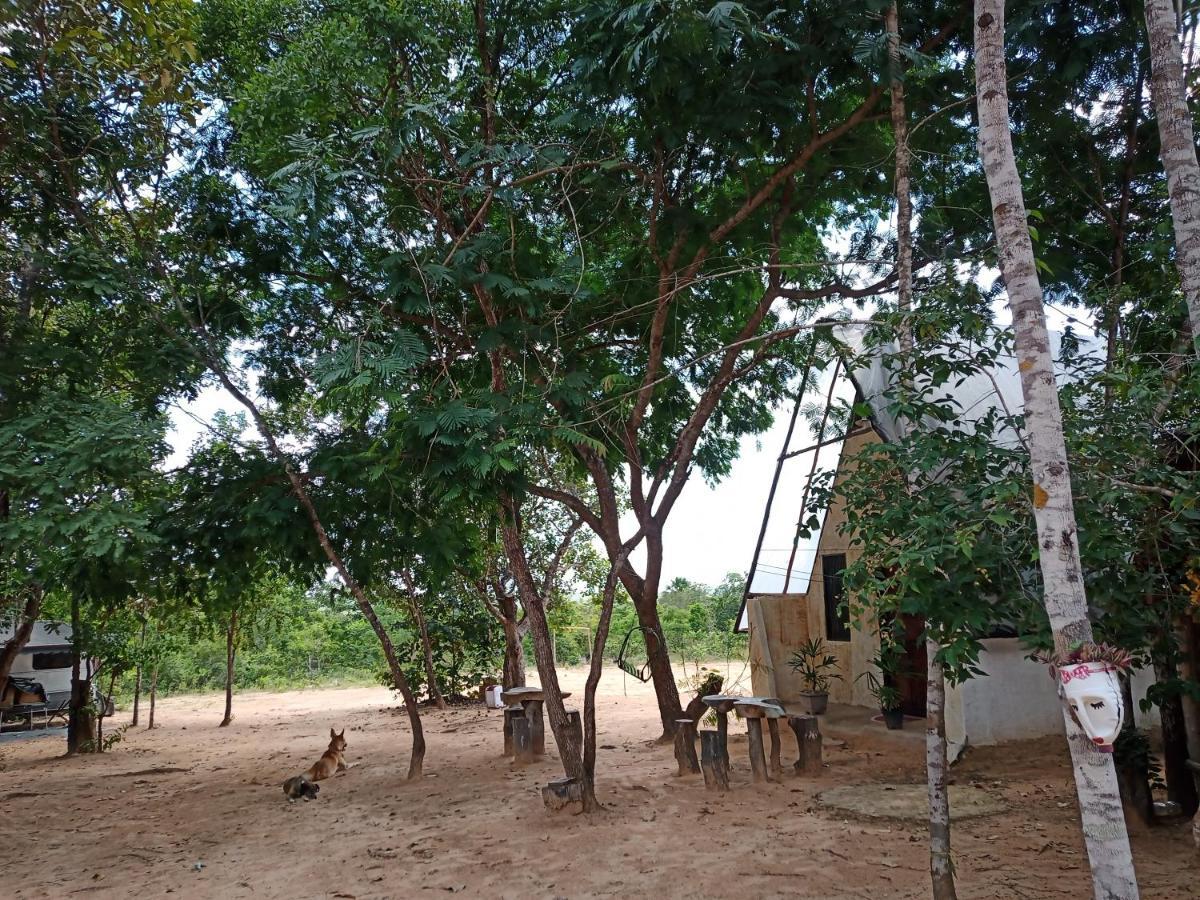 Refugio Raiz Camping Carolina  Buitenkant foto