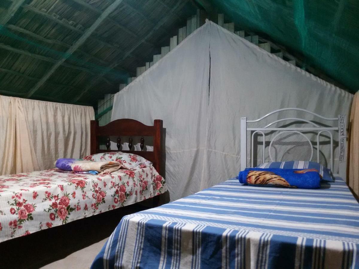 Refugio Raiz Camping Carolina  Buitenkant foto